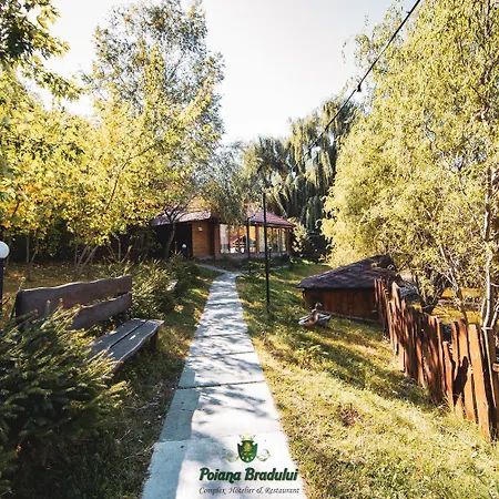Vakantiehuis Poiana Bradului Complex Hotelier & Restaurant Chişinǎu
